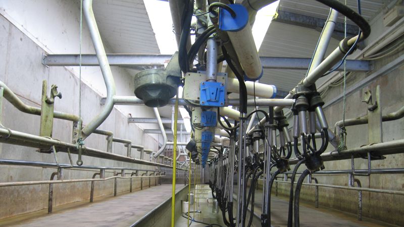 Farm milking parlour Cooke & Arkwright