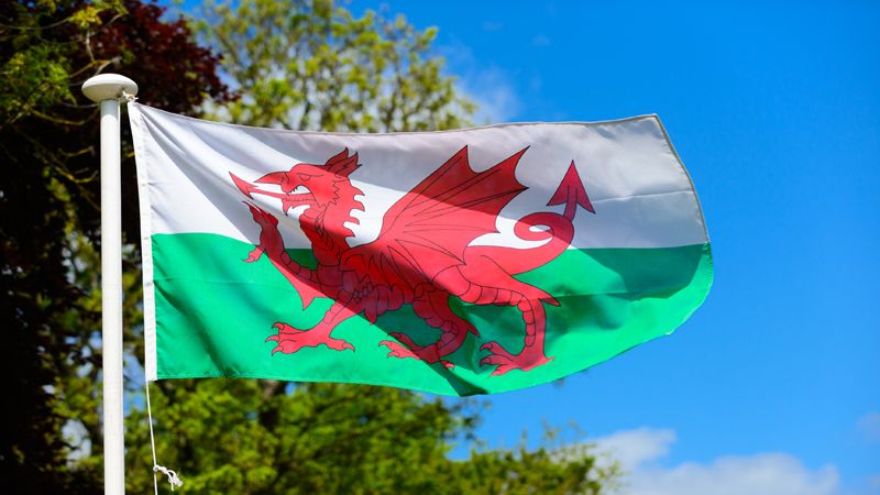 Welsh Flag