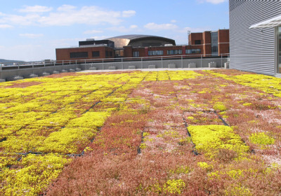 3-Assembly-Sq-roof-sedum-2.jpg