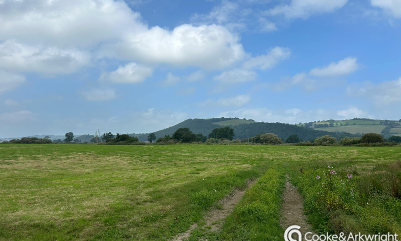 Agricultural Land at Capel Dewi, Carmarthen