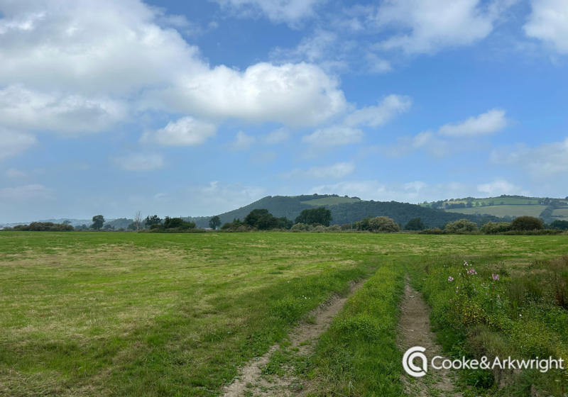 Agricultural Land at Capel Dewi, Carmarthen