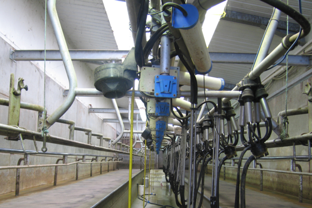 Farm milking parlour Cooke & Arkwright