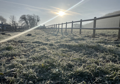 frost fence