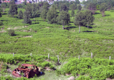 Vacant-land.jpg