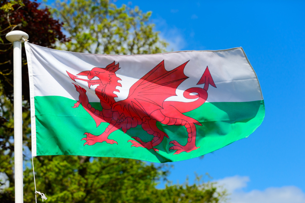 Welsh Flag