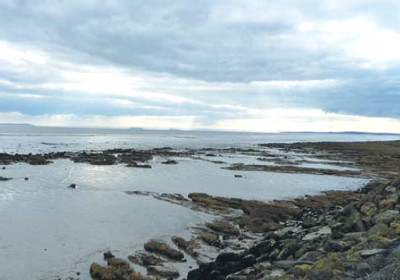 Wentlooge-foreshore.jpg